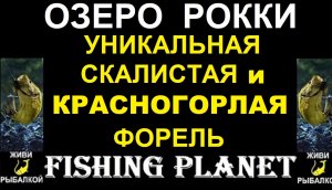 Уникальные скалистая и красногорлая форель на озере Рокки, Fishing planet