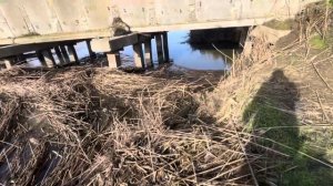 РЫБАЛКА В ГЕЛЕНДЖИКЕ 2024. Едем в клевое место 😍