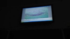 Гистология. Спинальный ганглий