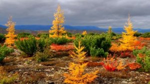 ОСЕНЬ /Autumn (music video)