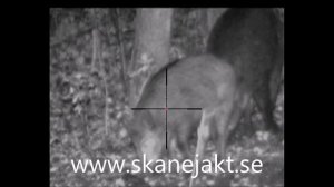 Pulsar Digisight N870 LRF