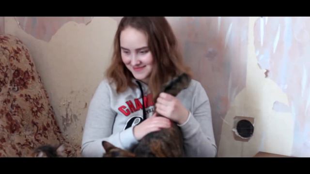 ПОМОЖЕМ ВМЕСТЕ | поездка в приют для кошек