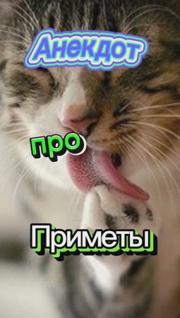 Анекдот про Приметы?????