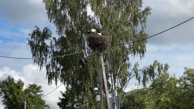 Ленинградская область 2024