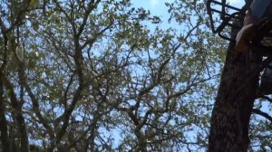 HIDE AND SEEK IN A GIANT RANCH **winner get $20,000** |Jentzen Ramirez