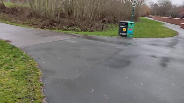 дружелюбные птицы зимой 2023 года смотреть онлайн