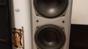 magnat vector needle