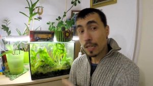 Вечный террариум 1 год спустя / TERRARIUM 1 YEAR LATER!