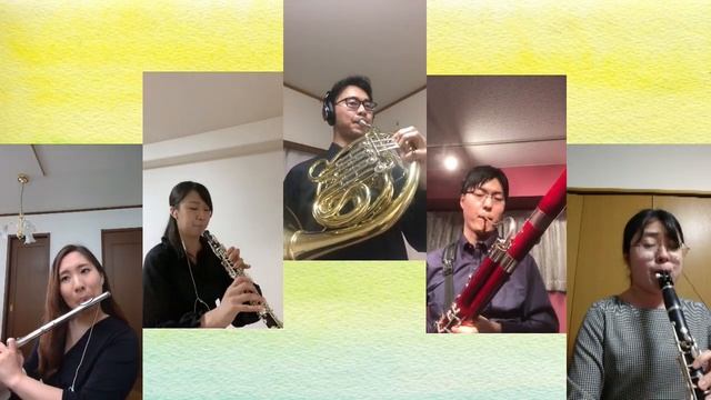 Haydn Divertimento 2nd mov. Andante quasi Allegretto.“Chorale St.Antoni”