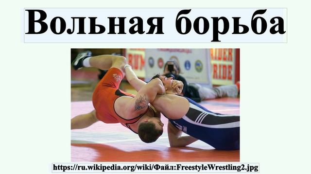 Вольная борьба