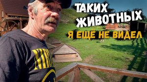 У НАС ТАКОГО НЕТУ  // ПОЕЗДКА В ЗАПОВЕДНИК