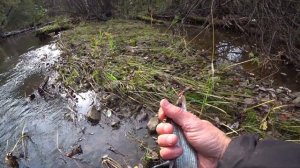 РЫБАЛКА НА ХАРИУСА. УРАЛЬСКИЙ ХАРИУС НА МАЛОЙ РЕКЕ. РЫБАЛКА НА СПИННИНГ И УДОЧКУ В УРАЛЬСКОЙ ГЛУШИ.