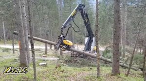 Опасная Самая Большая Вырубка Деревьев, Тяжелое Оборудование Для Лесозаготовительной Машины