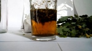 Чистотел от чесотки.Как делаю я.