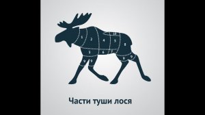 Режим Лосей? Кто эти Лоси и зачем их Резать? Портфель акций