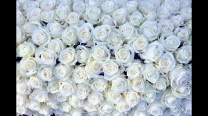 ⭐️ МЫ ТАНЦЕВАЛИ ПОД БЕЛЫЕ РОЗЫ ( TEO REMIX ) ⭐️