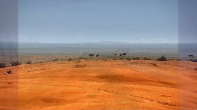 §30 "Не станет ли Земля пустыней?", Биология 5 класс, Сивоглазов, Плешаков смотреть онлайн