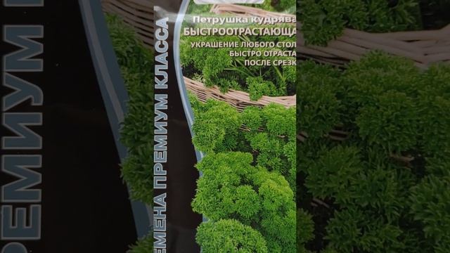 ВКУСНОЕ И ПОЛЕЗНОЕ УКРАШЕНИЕ ЛЮБОГО СТОЛА - ПЕТРУШКА КУДРЯВАЯ смотреть онлайн