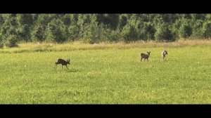 Охотничий туризм в Курганской области!