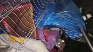 НАХОДКИ НА МУСОРКЕ ЗА ВЕЧЕР