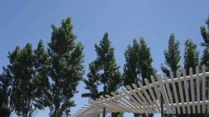Красивые рисунки на заборах. Как раскрасить весело забор, и скрыть его старость