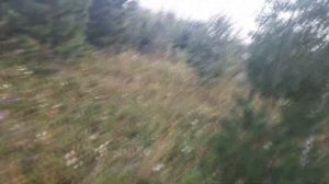 Плодородие почвы с нуля Вопрос