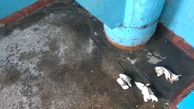 Как избавиться от запаха мочи смотреть онлайн