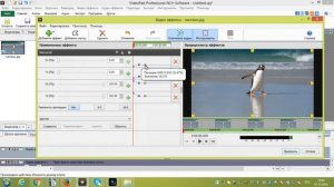 VideoPad Эффекты. Масштаб. №16
