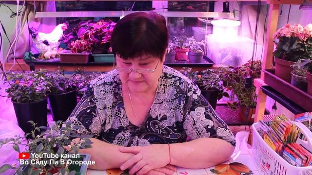 КОГДА ЖЕ ПОСЕЯТЬ ПЕРЕЦ И БАКЛАЖАНЫ?! КАК РАССЧИТАТЬ ПРАВИЛЬНЫЕ СРОКИ ПОСЕВА.