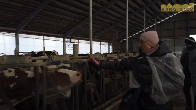 Экскурсия на ферму Эконива