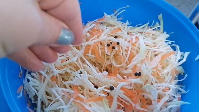 Маринованная капуста, очень быстрый рецепт. Жизнь в Германии. #жизньвгермании #маринованнаяеапуста#