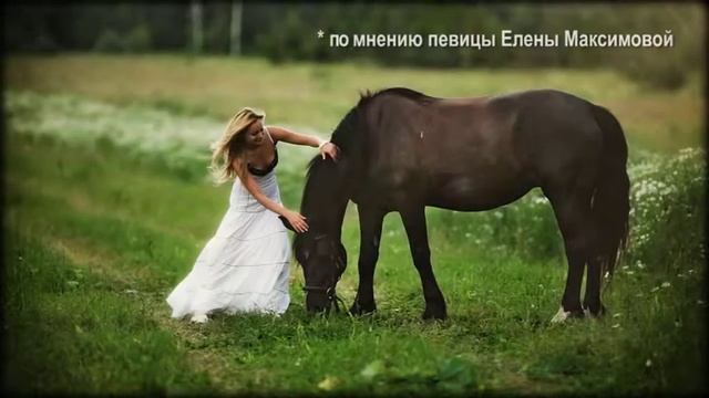 Лошадиная Сила смотреть онлайн