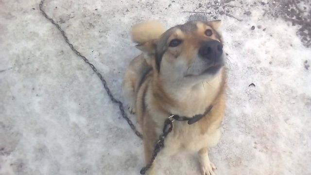 Утреннее поздравление. смотреть онлайн