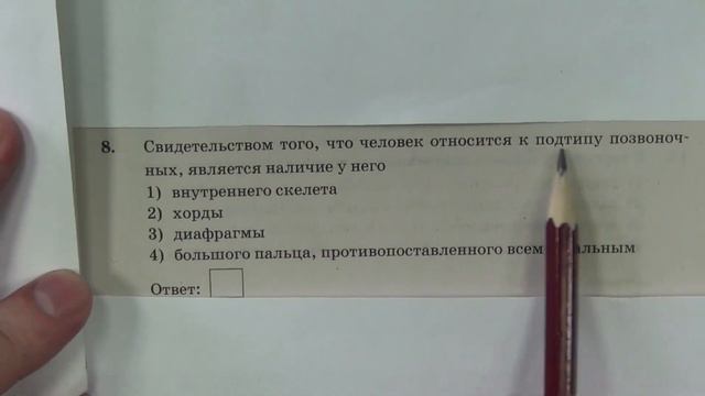 ОГЭ. БИОЛОГИЯ. 8 задание, разбор смотреть онлайн