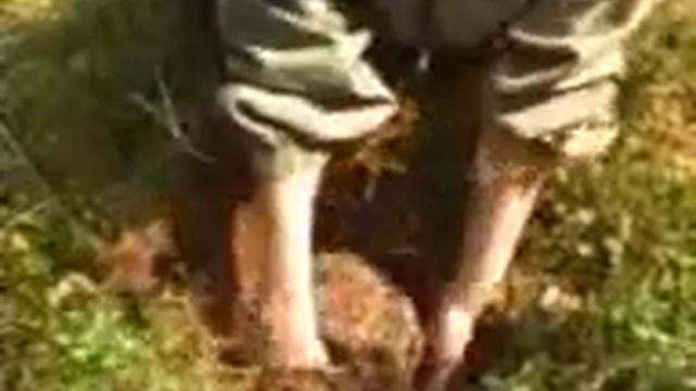 О ПОЧВЕ.wmv