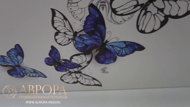 П.Раздолье - натяжной потолок с фотопечатью Бабочки в гостиной смотреть онлайн