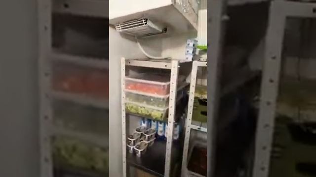 Ремонт производственного холодильного оборудования. Холодильное оборудование Polair.