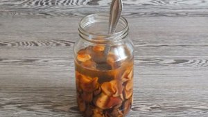 Настойка из сухих яблок