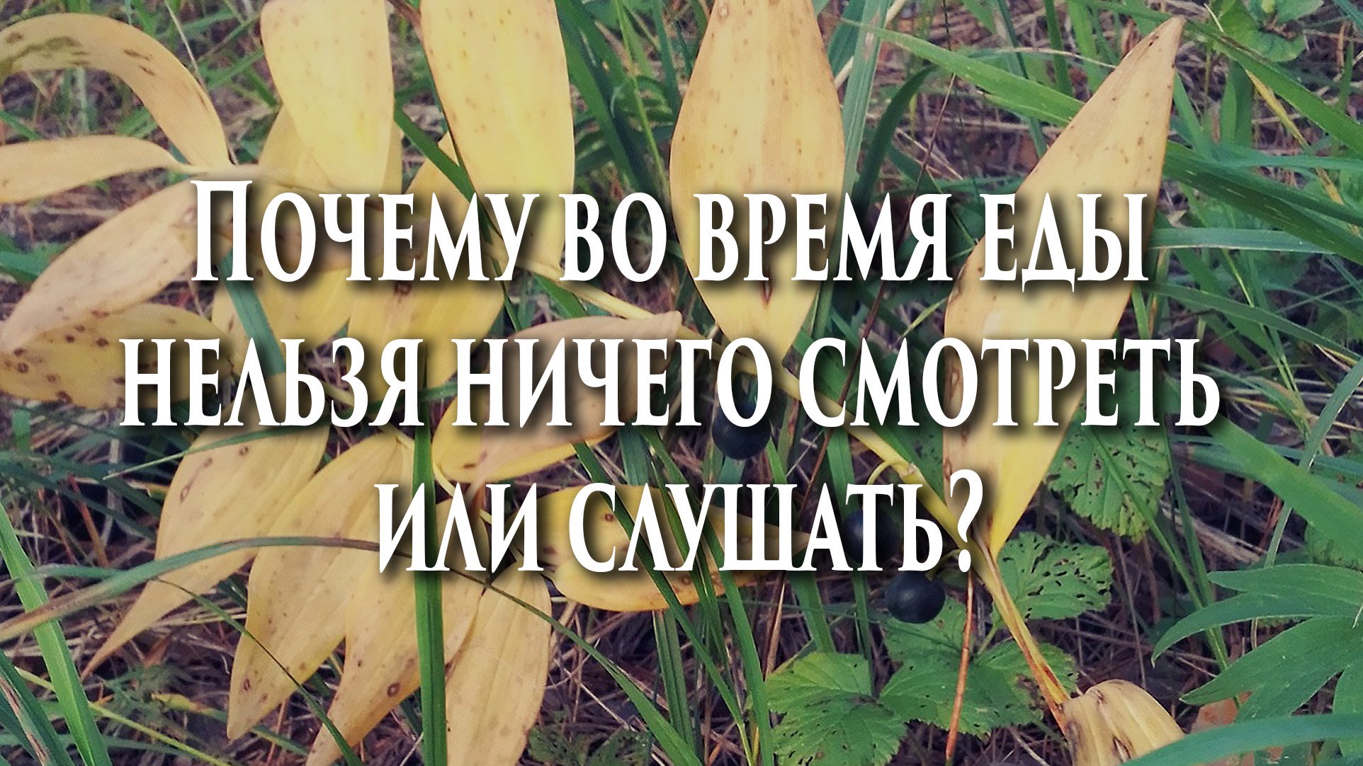 ?Почему во время еды нельзя ничего смотреть или слушать?