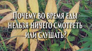 ?Почему во время еды нельзя ничего смотреть или слушать?