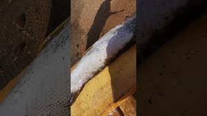 KARCHER К2