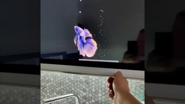 телевизор на кухню, двери межкомнатные, межкомнатные двери, дверь, двери, массив дуба смотреть онлайн