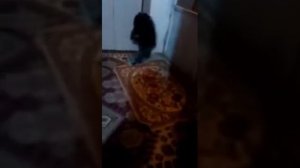 Пойманный домовой