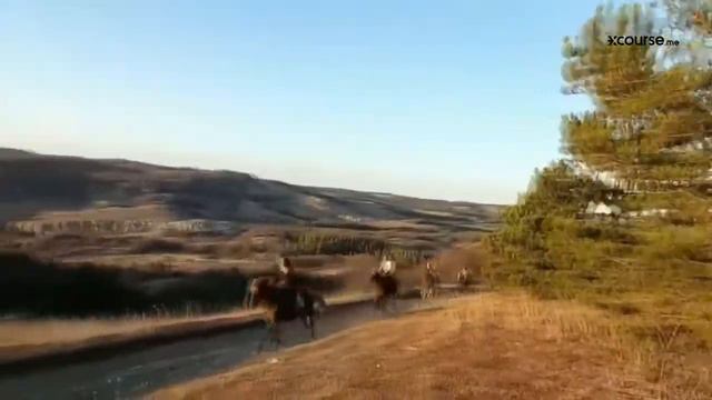 Конная прогулка на плато Ай-Петри | Ялта