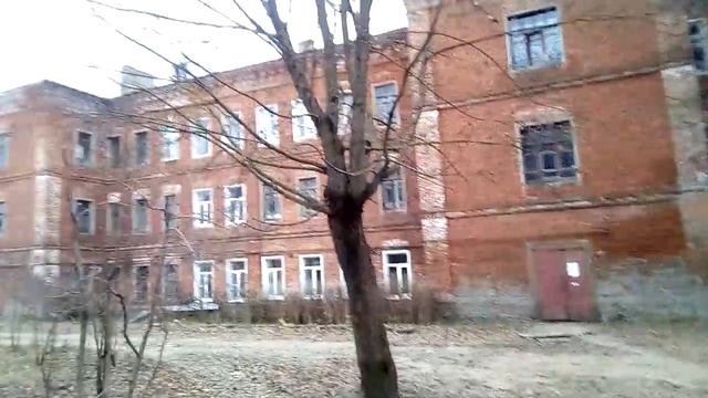 Струнино. Бесхвостая кошка. Ходила на УЗИ. Ипотека в мечтах. смотреть онлайн