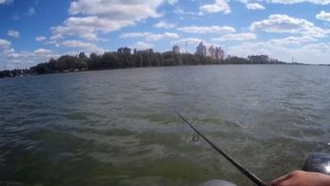 ОКУНЬ В ЦЕНТРЕ ГОРОДА. ЛОВЛЯ ОКУНЯ С ЛОДКИ. ОКУНЬ НА ПРИМАНКИ PROBAITS