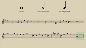 Длительности. Теория музыки. Урок 24.
