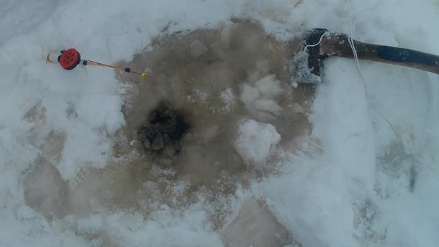 Погода подвела(, неудачная рыбалка с элементами охоты?. Но эмоций получили массу?. смотреть онлайн