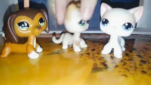 LPS: Распаковка петов с Aliexpress #3