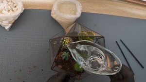 DIY Mini Cactus Gardens - Флорариум из кактусов